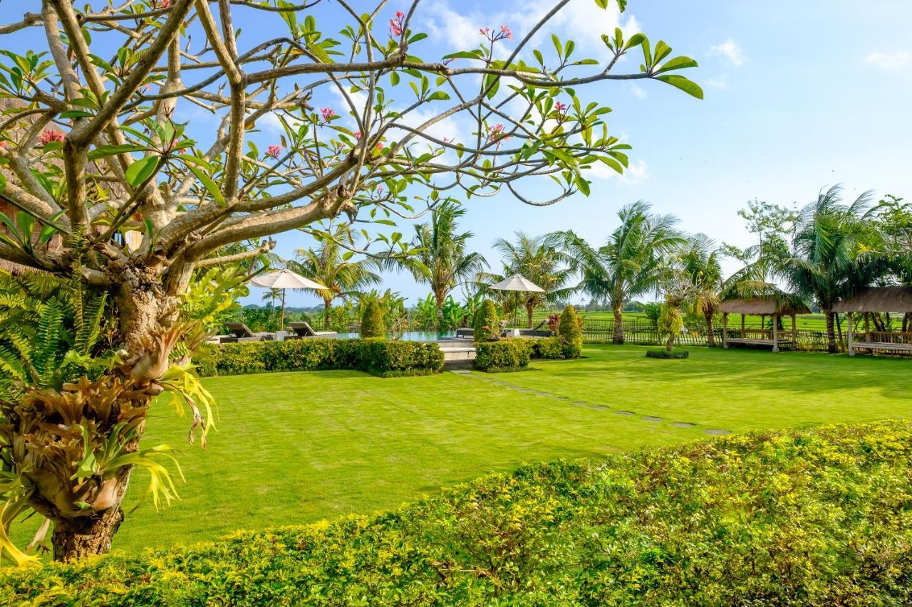 Canggu Wooden Green Paradise מראה חיצוני תמונה