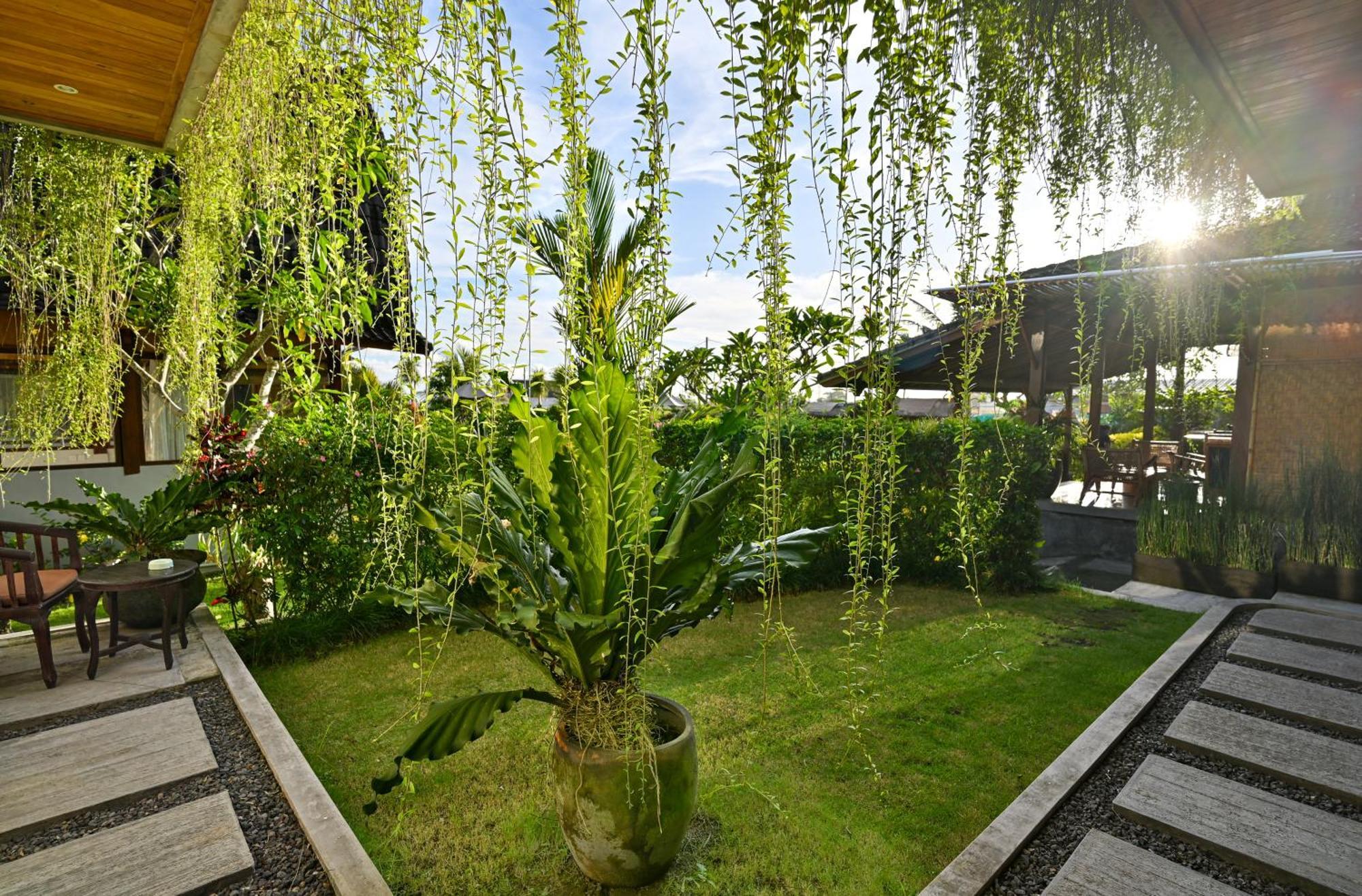 Canggu Wooden Green Paradise חדר תמונה